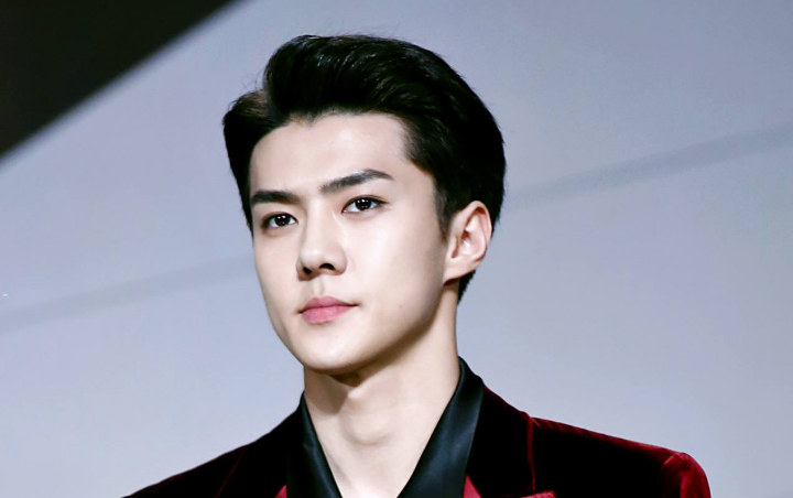 Oh Se Hun, Anggota termuda di EXO